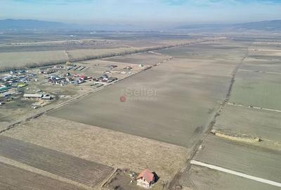 Teren Extravilan, P.U.Z. inceput - 10