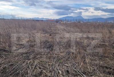 Teren de 1500 mp, în Central - 3