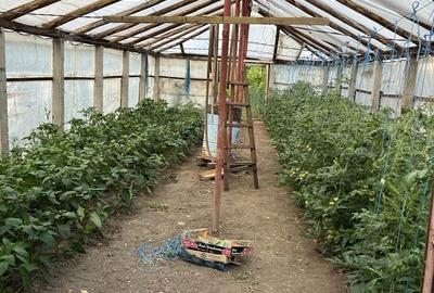 Casă cu 2 camere în Central - 3