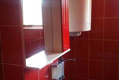 Apartament cu 2 camere semidecomandat în Crihala - 7