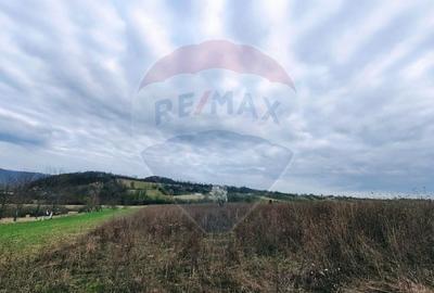 Teren agricol extravilan de 5240 mp, în Berchezoaia - 2