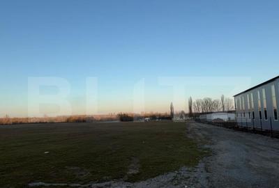 Teren intravilan industrial, 4307 mp, Podari - 1