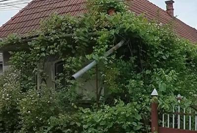 Teren de 1171 mp, în Zăbala - 6