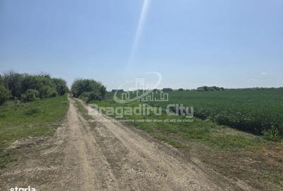 Teren de 526 mp, în Clinceni