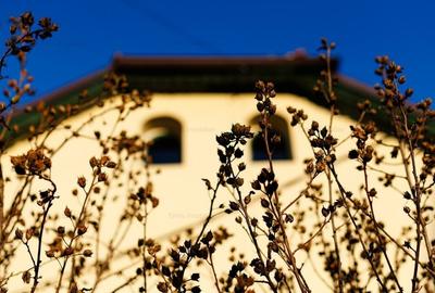 Casa Individuala Exclusiv pentru Birouri-Central | 160 mp & Teren 726 - 5