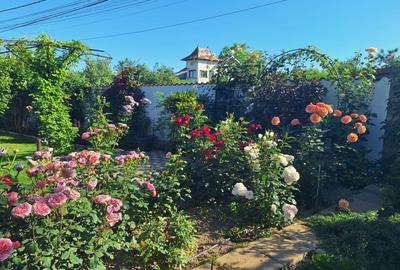 TARGOVISTE-PRISEACA vila spatioasa, garaj, teren 1000 mp - 5