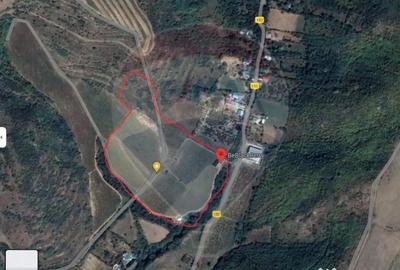 Teren de 40300 mp, în Central - 4