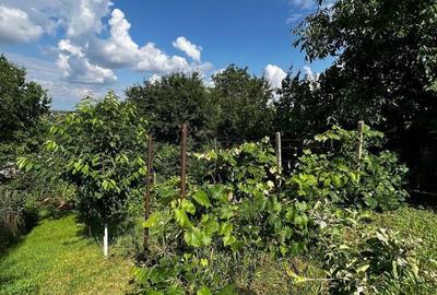 Casă cu 1 camere în Central - 2