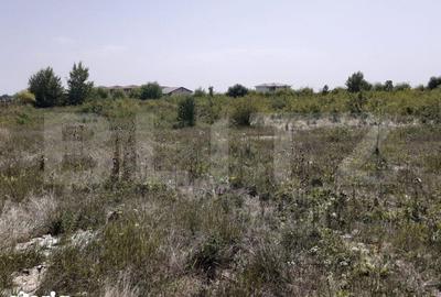 Teren de 6150 mp, în Ciarda Roșie - 3