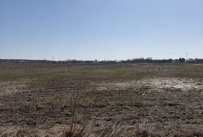 Spațiu comercial, în Ciolpani - 1