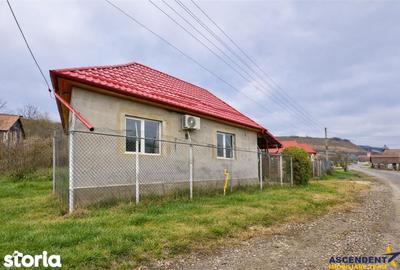 Casă cu 3 camere cu Teren 2700 Mp în Sânpaul - 8