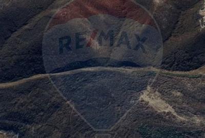 Teren agricol extravilan de 340000 mp, în Căpușu Mare - 5