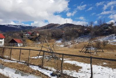 Teren de 10200mp,intravilan , cu deschidere la asfalt - 3