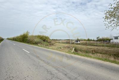 Teren Construcții intravilan de 5000 mp, în Carei - 9