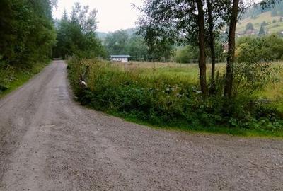 Teren de 1500 mp, în Mitocu Dragomirnei - 8