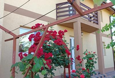 Casă cu Teren 1000 Mp în Central - 9