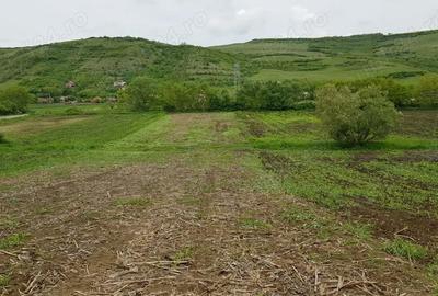 Teren de 2900 mp, în Căianu - 7