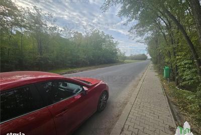 Spațiu comercial, în Dragomirești-Deal - 1