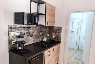 Apartament cu 2 camere decomandat în Cetate - 2