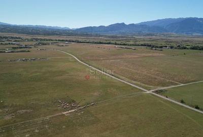 Teren extravilan Rasnov - 13