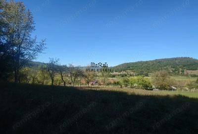 Teren de 56031 mp, în Criș - 6