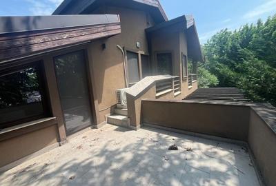 ANDRONACHE | Vila 4 Camere | Garaj | Curte Verde | Ciubar & BBQ - 17