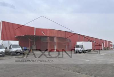 Spațiu comercial, de 1,515 mp, în Ștefăneștii de Jos - 10