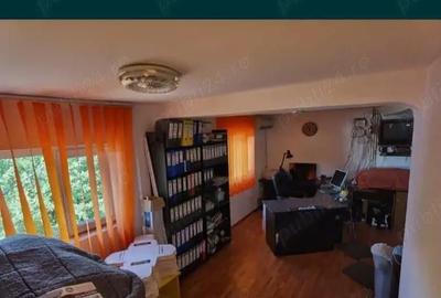 Casă cu Teren 1467 Mp în Plumbuita - 3