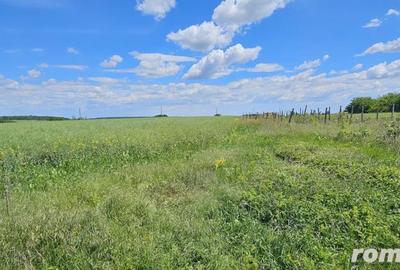 Teren extravilan Tancabesti - 3