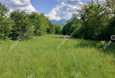Teren intravilan 2100 mp de vanzare pe Valea Avrigului in Sibiu - 3
