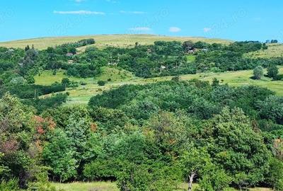 Teren de 5000 mp, în Boboci - 6