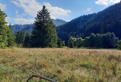 Teren de 2089 mp, în Tarcău