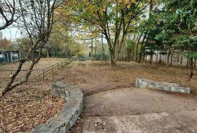 Teren cu Casa BONUS deschidere la Lacul Snagov - 7