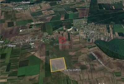 Teren de 235000 mp, în Tărtășești - 1