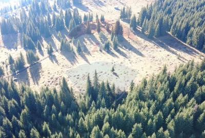 Teren agricol extravilan de 16289 mp, în Coverca - 5