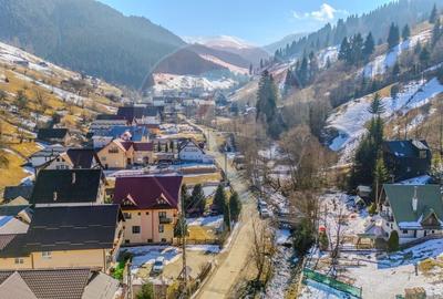 VILA SCANDINAVIA / Pensiune / Moieciu de Sus - 29