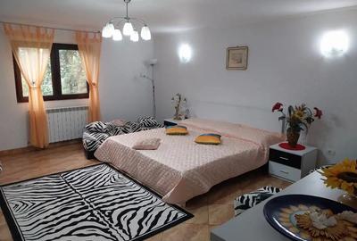 Vind casa mobilata Petre?ti - 4