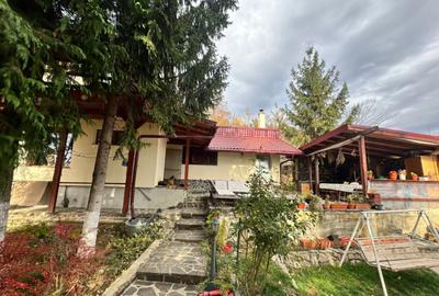 Casă cu 4 camere cu Teren 1527 Mp în Tăuții de Sus - 1