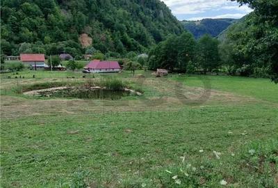 Teren în Bulz - 4