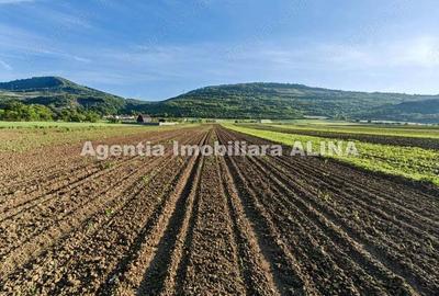 Teren intravilan 4094mp in Satul Soimus din Comuna Soimus, Jud. Hunedoara. - 4