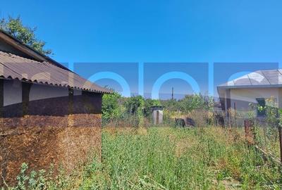 Teren de 1000 mp, în Scrioaștea - 1