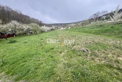 Teren de 950 mp, în Central - 3