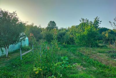 Casă individuală cu 5 camere cu Canalizare în Vulturești - 9