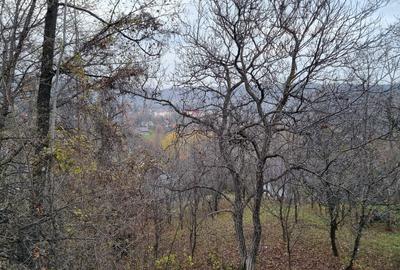 Teren Intravilan Breaza Prahova (zona Clubului de Golf) 1744mp - 5