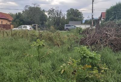 Spațiu comercial, în Stupini - 3