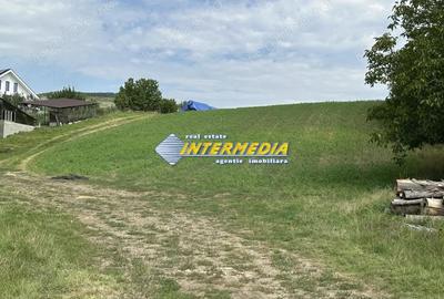 Vanzare Teren Intravilan Ighiu-Telna 2060 mp deschidere 20 m asfalt apa gaz curent canal vedere si - 7