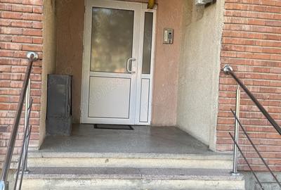 Buzias apartament cu 1 camera - 7