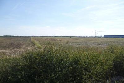 Vand teren in Timisoara, soseaua de centura - 5