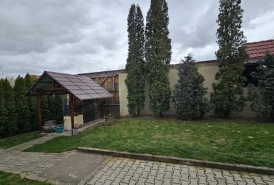 Casă individuală cu 5 camere cu Canalizare în Lazaret - 17