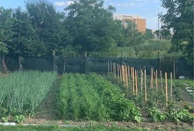 Casă cu 2 camere în Central - 4